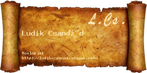 Ludik Csanád névjegykártya